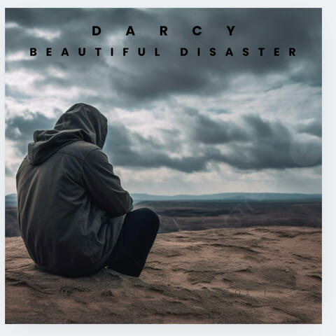 Beautiful Disaster album art