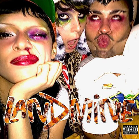 LANDMiNE album art