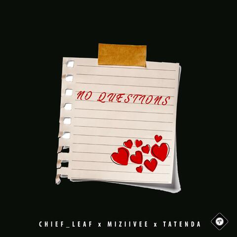 No Questions (feat. Chief_Leaf & Tatenda) album art