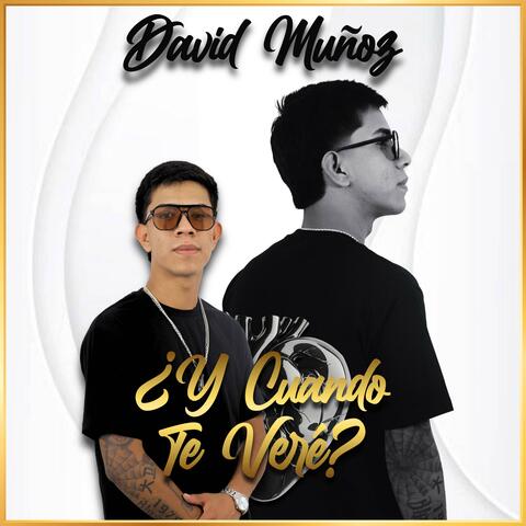 ¿Y Cuando Te Veré? album art