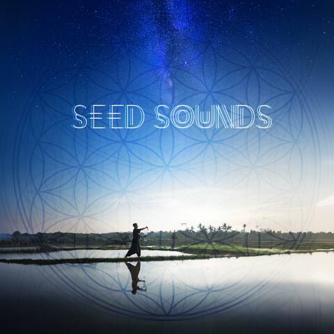 seed sounds album art