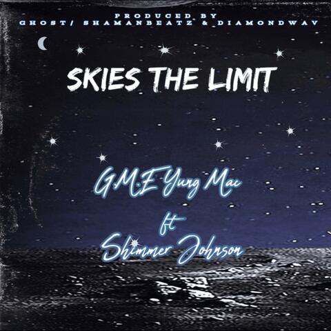 Skies the limit (feat. Shimmer Johnson) album art