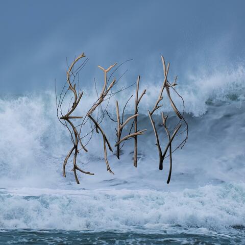 Echo album art