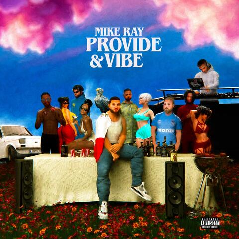 Provide & Vibe album art