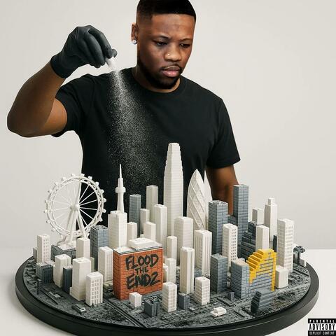 FLOOD THE ENDZ album art