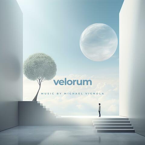 Velorum album art