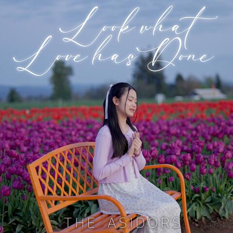 Look what Love has Done (feat. Zian Asidor) album art