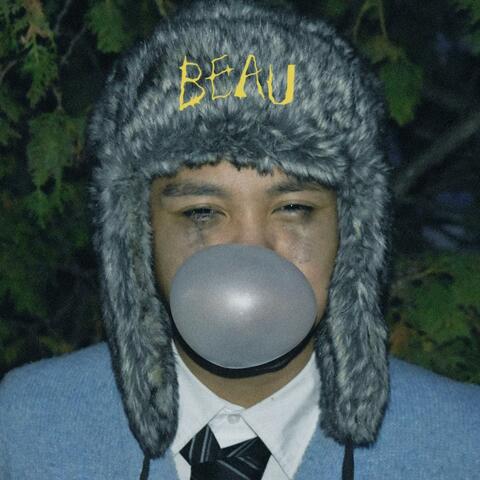 BEAU album art