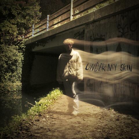 Under My Skin album art