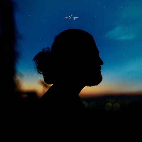 Would You album art