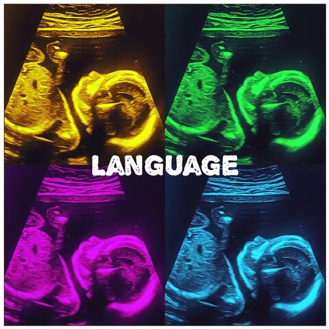 Language album art