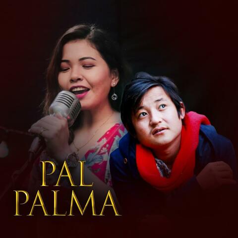 Pal Palma album art