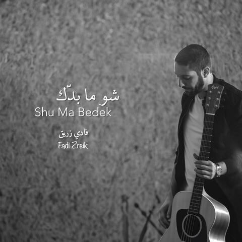 Shu Ma Bedek album art