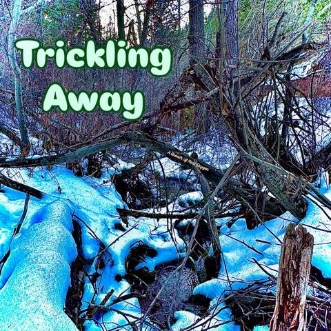 Trickling Away album art