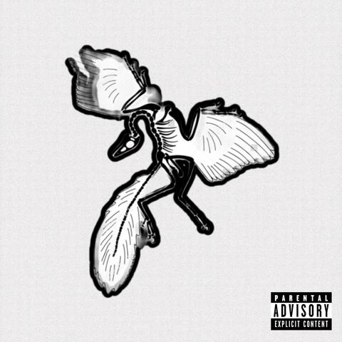 Miami (feat. EL NEGROW, YUNG KORALL & ILL SANDER) album art