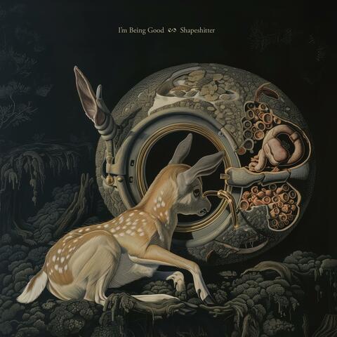 Shapeshitter album art