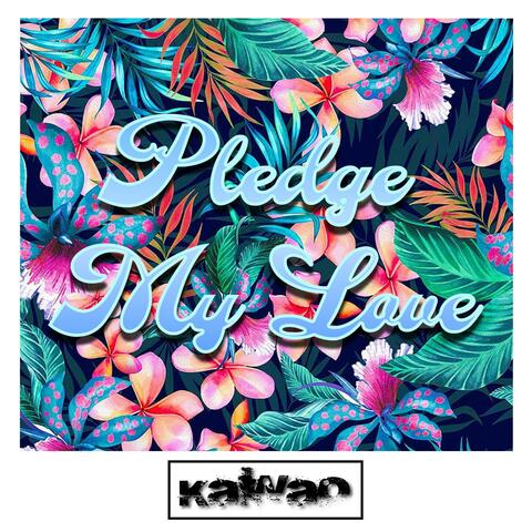 Pledge My Love album art