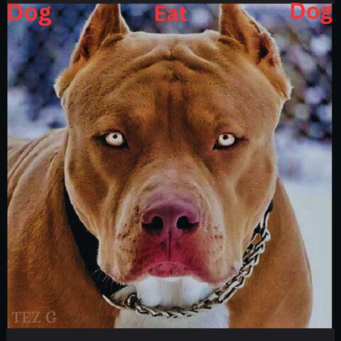 Dog Eat Dog album art