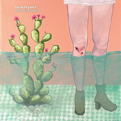 Die Hydrated album art