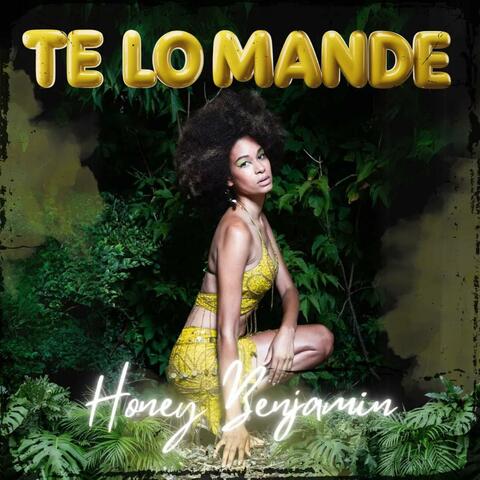 Te lo mande album art