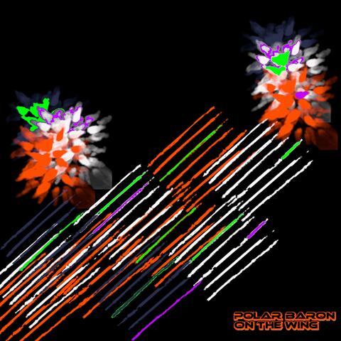 On the Wing album art