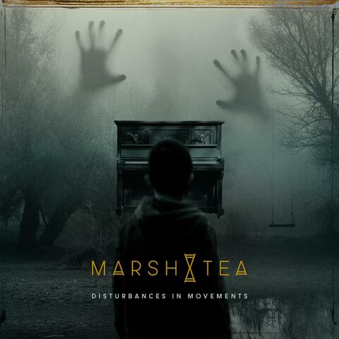 Disturbances In Movements album art
