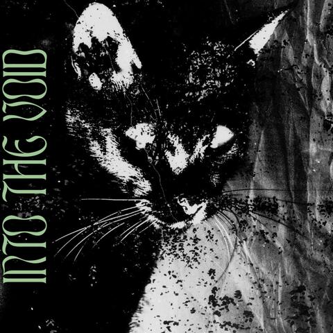 Into The Void album art