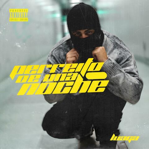 PERREITO DE UNA NOCHE album art