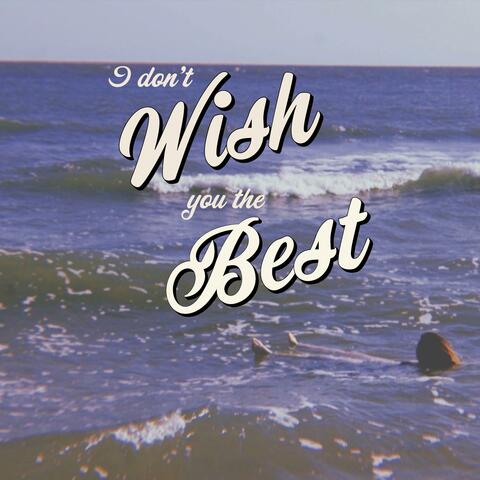 I Don't Wish You The Best album art