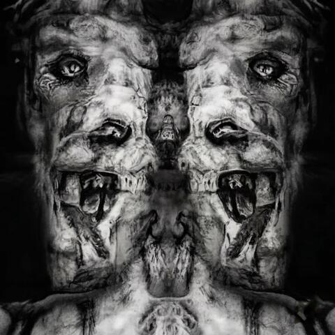 Night Assimilated album art