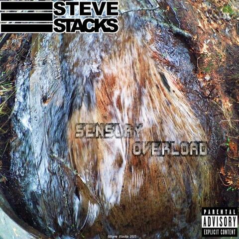 Sensory Overload album art