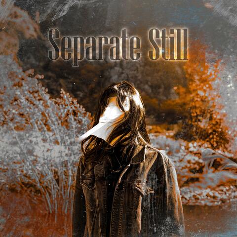 Separate Still album art