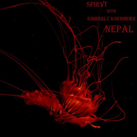 NEPAL album art