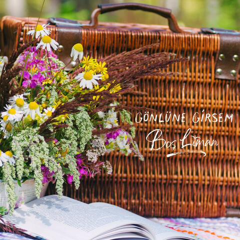 Gönlüne Girsem album art