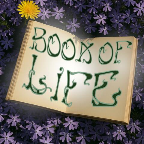 Book of Life album art