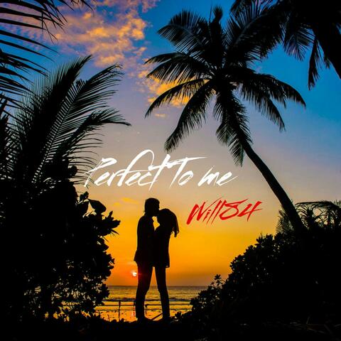 Perfect To Me album art
