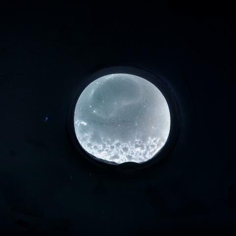 Unconcealed album art