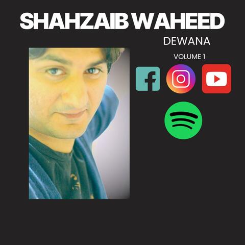 Dewana album art