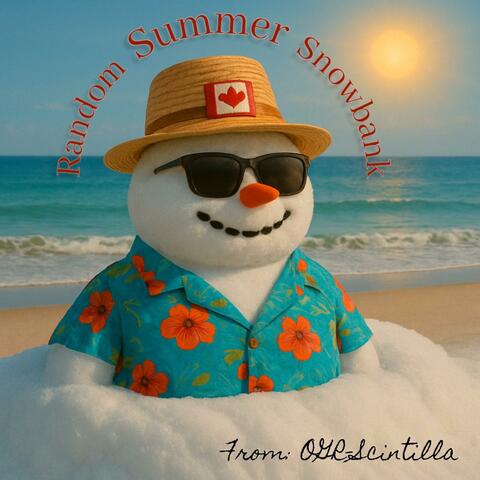 Random Summer Snowbank album art