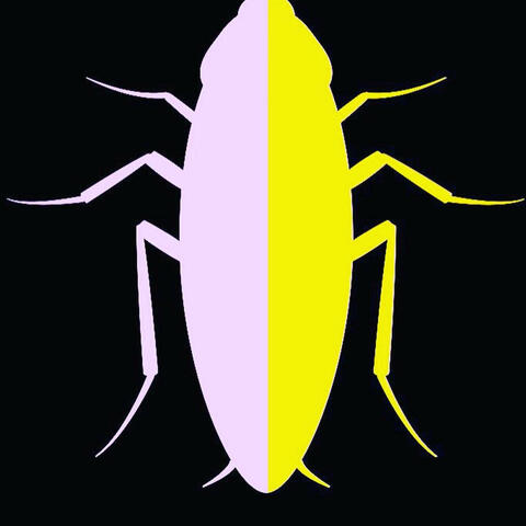 BUGS (feat. Ridzyray) album art