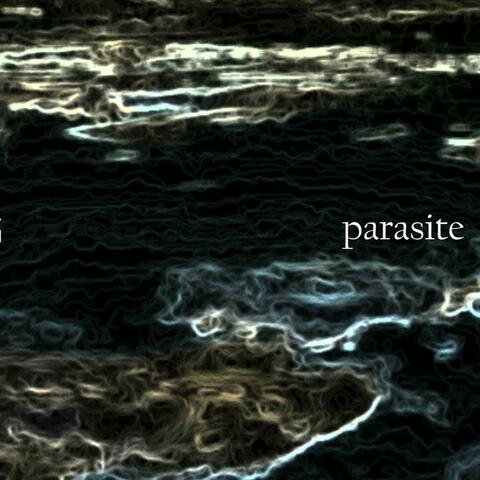 parasite album art
