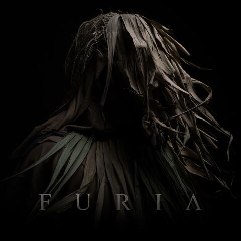 Furia album art