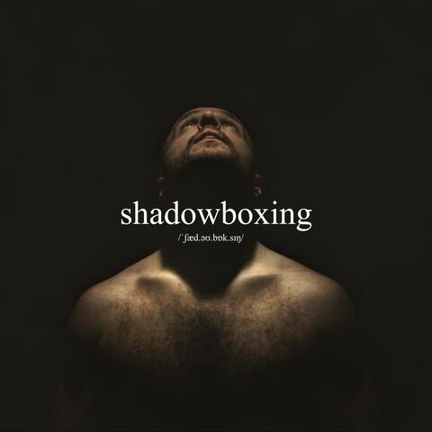 shadowboxing album art