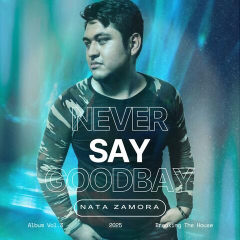 Never Say Goodbay album art