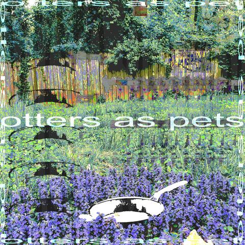 otters as pets album art