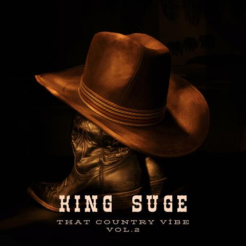 That country vibe, Vol. 2 album art