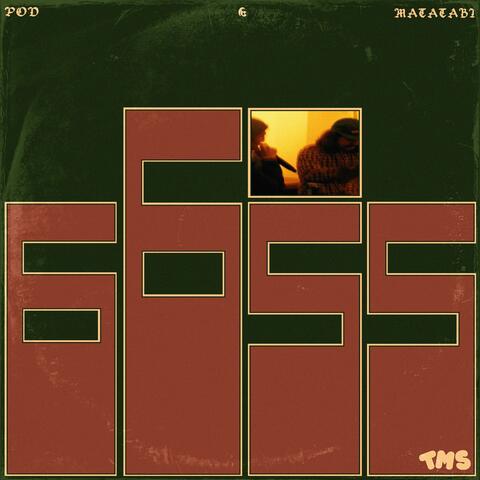 6655 album art