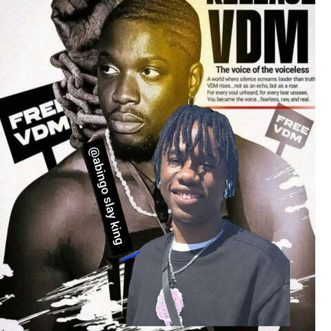 Free vdm album art