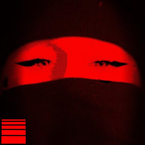 FCK NZS album art