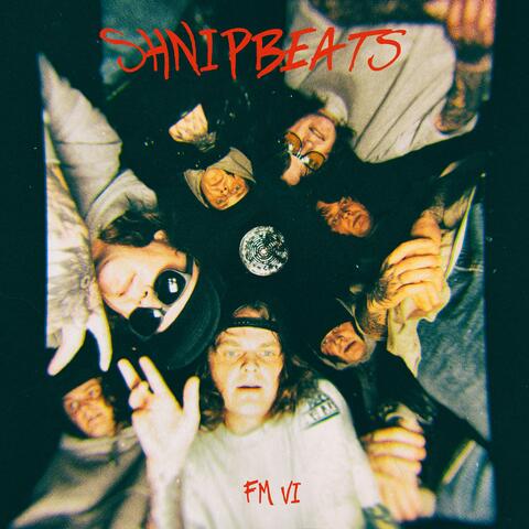FM VI album art